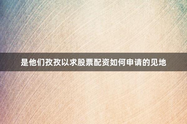 是他们孜孜以求股票配资如何申请的见地