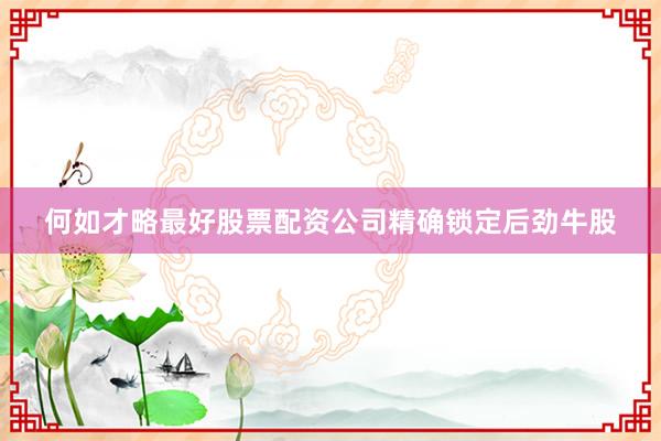 何如才略最好股票配资公司精确锁定后劲牛股