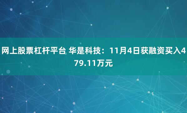网上股票杠杆平台 华是科技:11月4日获融资买入479.11万元