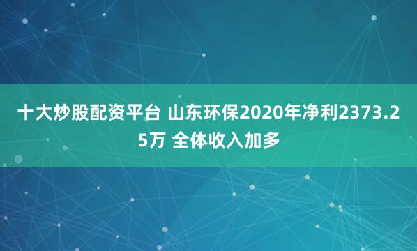 十大炒股配资平台 山东环保2020年净利2373.25万 全体收入加多